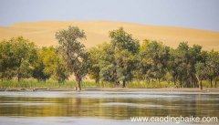 岩石是怎么形成的 岩石是如何形成的