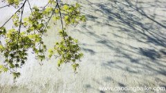 《春暮西园》赏析《春暮西园》的赏析