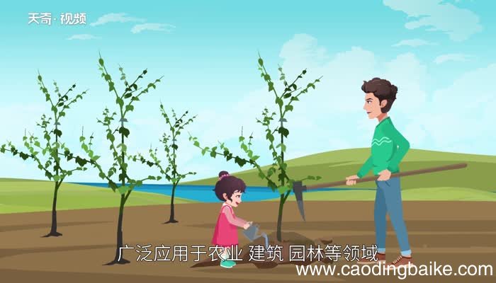 铁锹的意思 铁锹的意思是什么