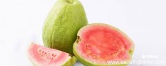 西瓜英语怎么读 西瓜英语怎么读?草莓英语怎么读?