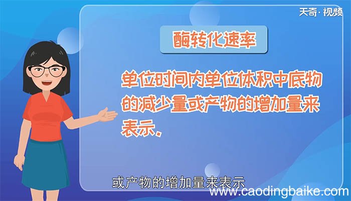 酶活性的概念 酶活性的含义