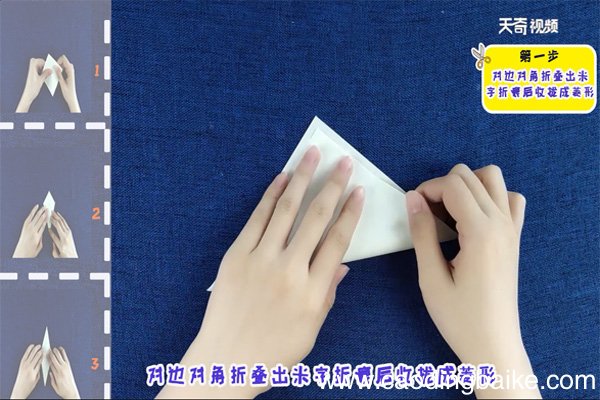 龙虾的折法