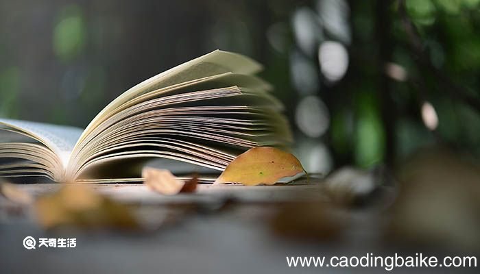 江城子苏轼翻译及赏析 江城子苏轼的翻译及赏析