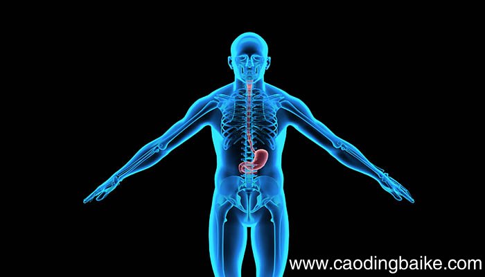 气体交换受损的主要诊断依据是什么 气体交换受损的主要诊断依据