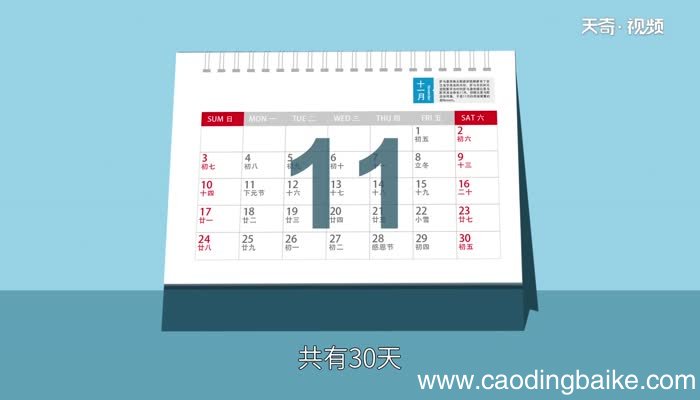 nov是几月 nov哪个月份