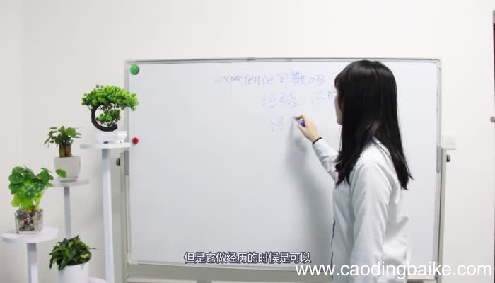 experience可数吗 experience是可数的吗