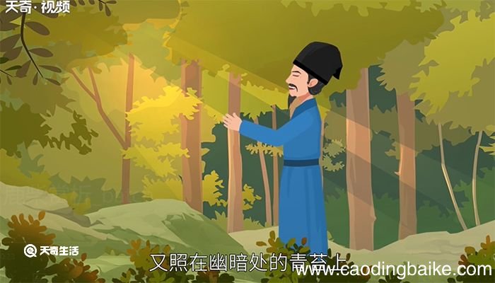 鹿柴赏析 鹿柴的赏析