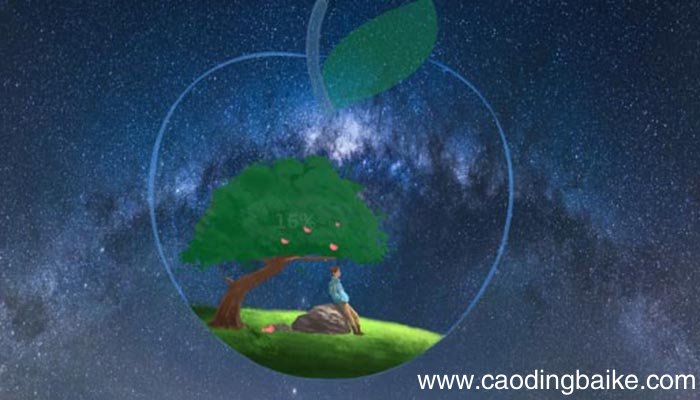 影响光合作用的内部因素 影响光合作用的内部因素有什么