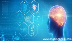 惯性思维又称为什么，惯性思维别名是什么