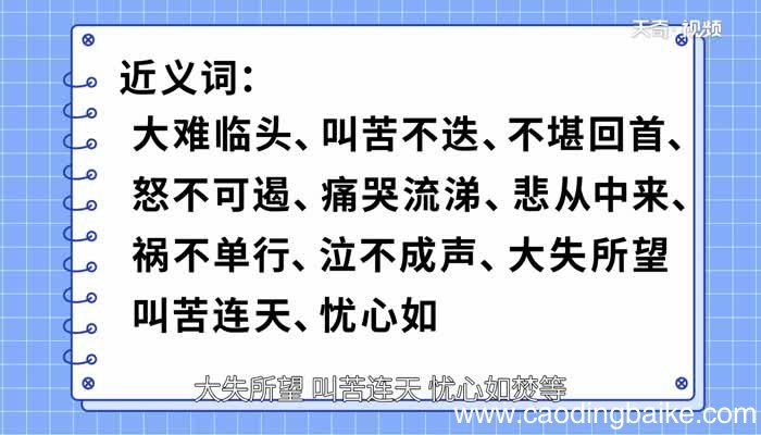 喜出望外的意思 喜出望外的成语解释