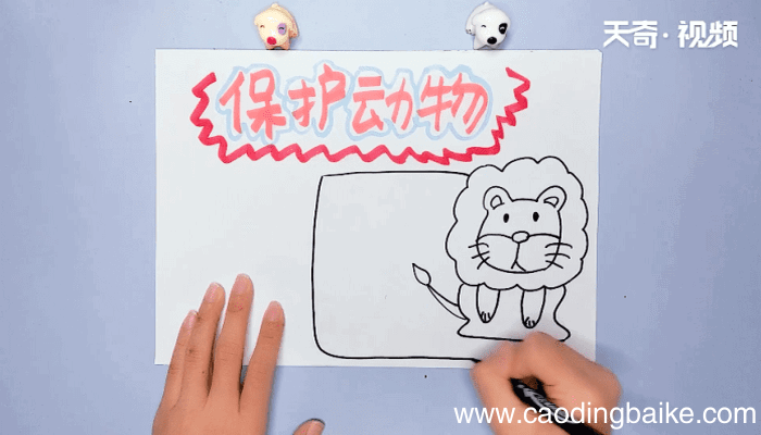 动物手抄报 动物手抄报画报