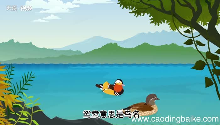 鸳鸯的意思 鸳鸯的意思是什么