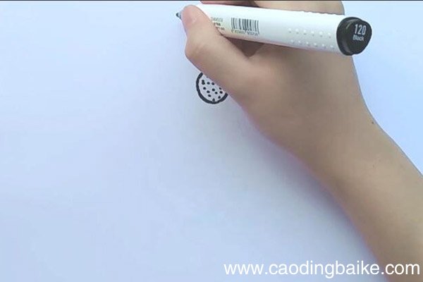 小雏菊简笔画 小雏菊怎么画