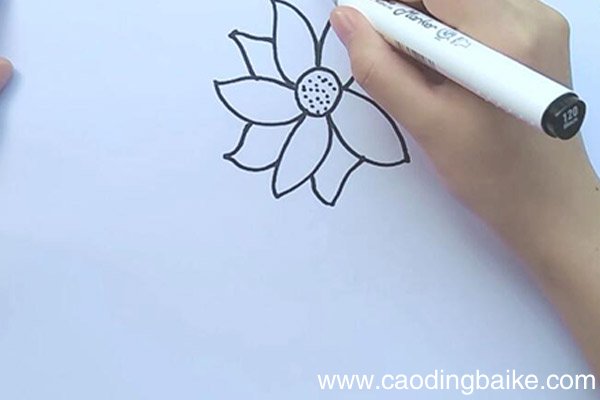 小雏菊简笔画 小雏菊怎么画