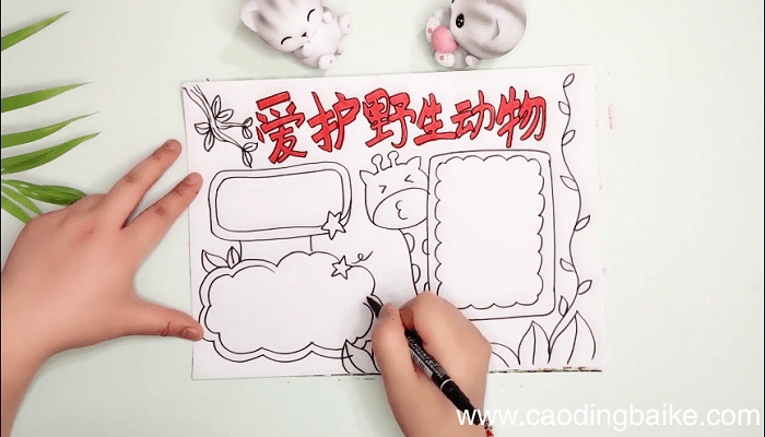 ?爱护野生动物手抄报 ?爱护野生动物画报