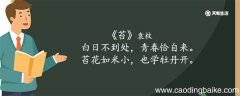 苔古诗的意思翻译 苔古诗的意思