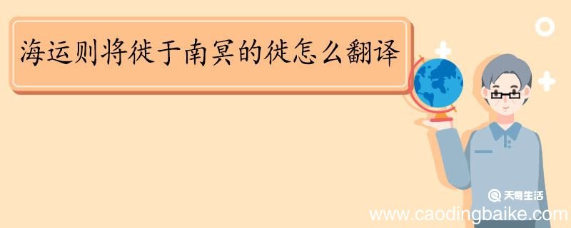 海运则将徙于南冥的徙怎么翻译 海运则将徙于南冥的徙的意思