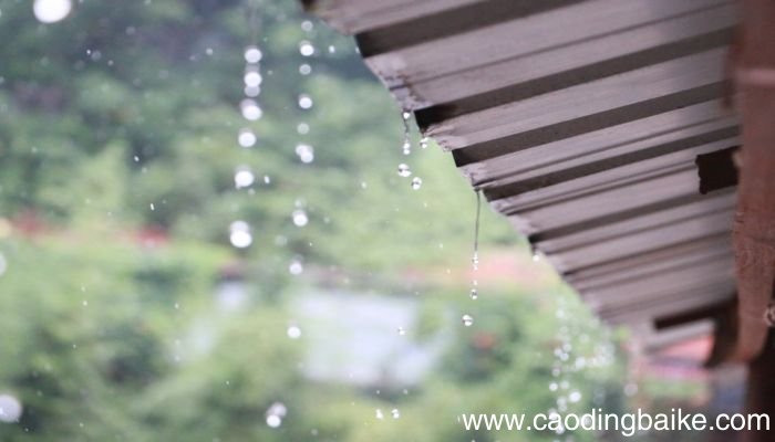 昆明的雨有何特点昆明的雨有什么特点