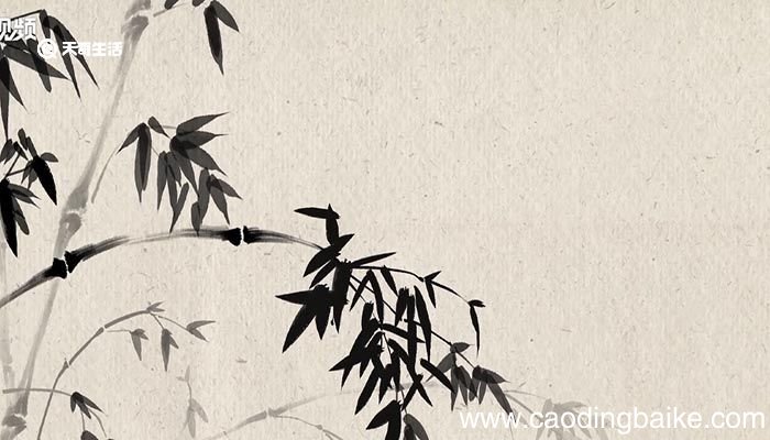 长相思的意思 长相思的意思是什么