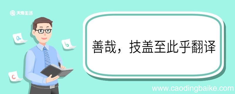 善哉技盖至此乎翻译 善哉技盖至此乎的翻译