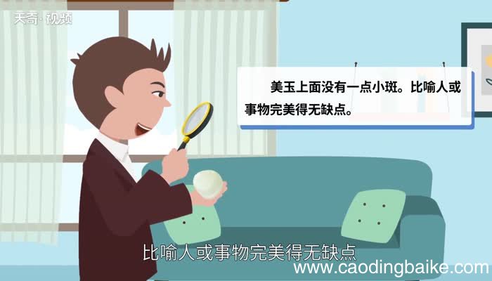 美玉无瑕的意思 美玉无瑕的出处