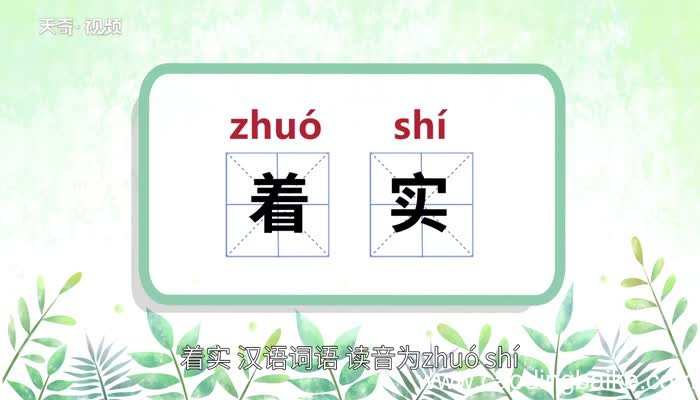 着实的意思 着实的意思是什么