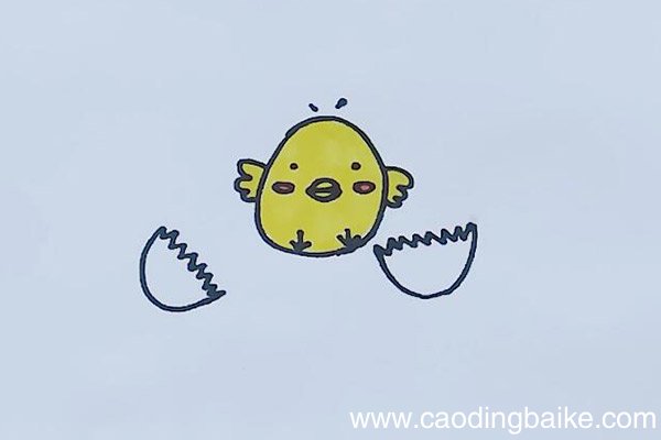 小鸡简笔画 小鸡怎么画