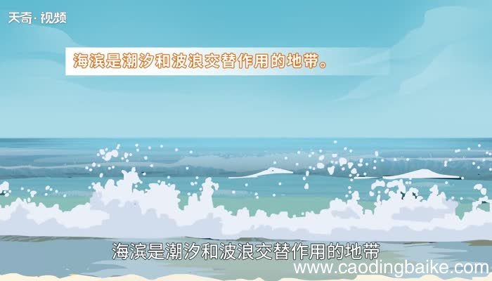 海滨的意思 海滨的意思是什么