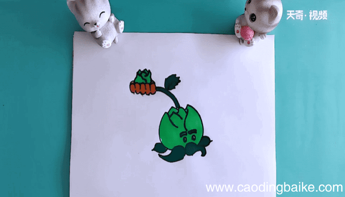 卷心菜投手简笔画 卷心菜投手画报