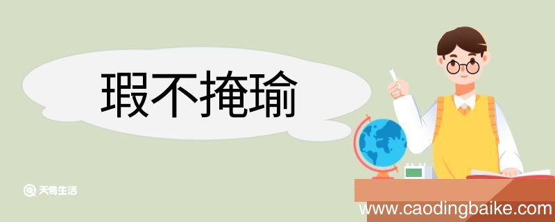 瑕不掩瑜造句 瑕不掩瑜意思