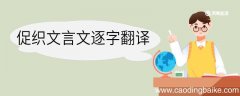 促织文言文逐字翻译 促织的文言文逐字翻译