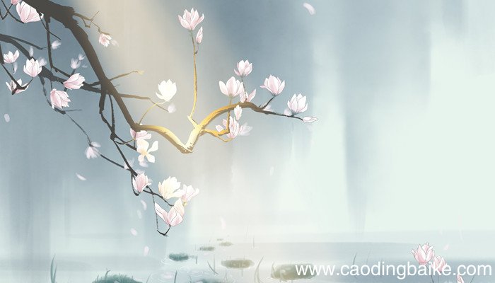 泊秦淮的意思及翻译 泊秦淮的译文