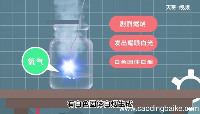 镁在空气和氧气中燃烧的区别 镁在空气和氧气中燃烧有什么区别