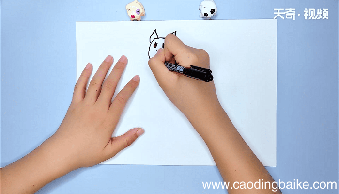 袋鼠的口袋简笔画 袋鼠的口袋简笔画怎么画