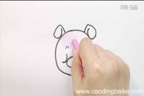 小猪头简笔画