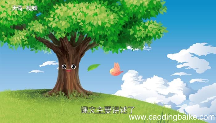 去年的树课文告诉我们一个什么道理 去年的树告诉我们什么道理