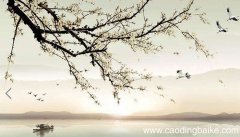 江南春的首句写出了江南怎样的特征 江南春的首句写表达了什么