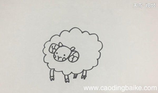 小羊的简笔画