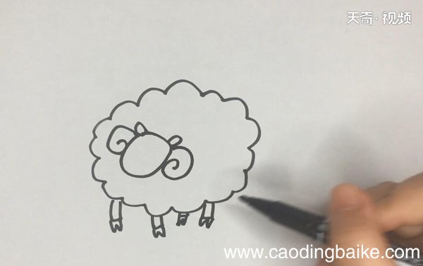 小羊的简笔画