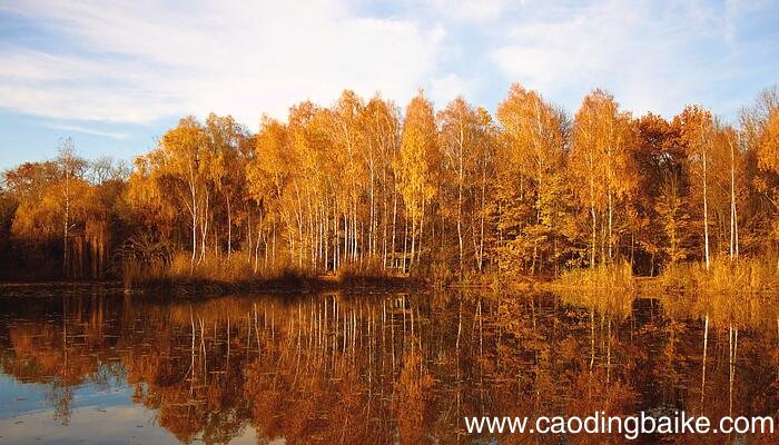 秋凉晚步全文带拼音 秋凉晚步全文带拼音标注