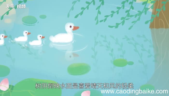 小池原文 小池原文内容