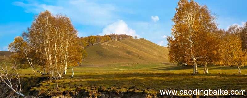 家乡的秋天写一段话 我喜欢家乡的秋天写一段话