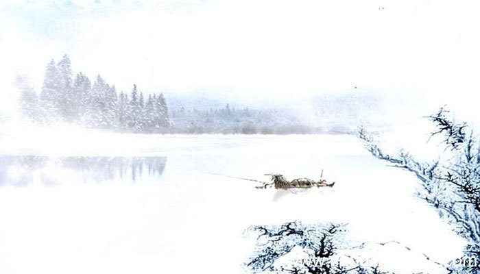 江雪古诗中描写的景物有 江雪古诗描写了什么景色