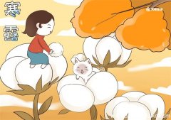 寒露节气儿童简笔画 寒露节气儿童简笔画简单