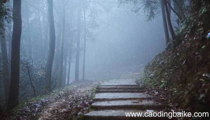 雾在我眼里像什么 雾在我眼里像什么写话