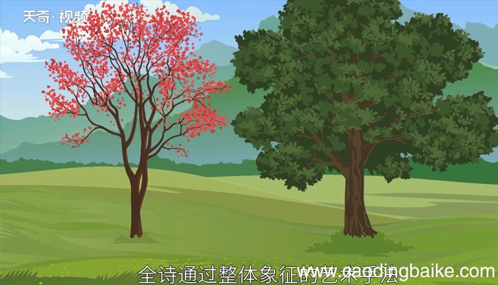 致橡树赏析 致橡树翻译