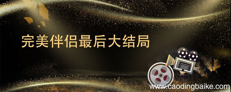 完美伴侣最后大结局 完美伴侣最后大结局剧透