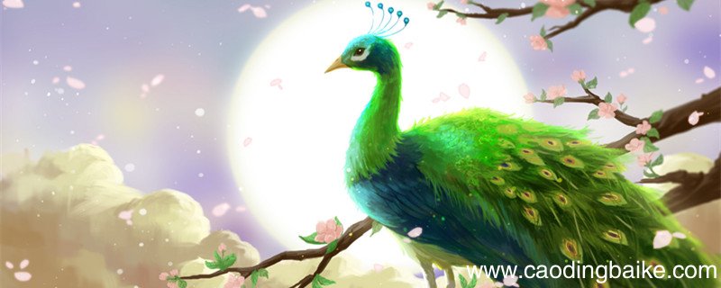 孔雀爱尾文言文翻译 孔雀爱尾文言文翻译注释