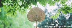 夏天的比喻句 夏天的比喻句有哪些