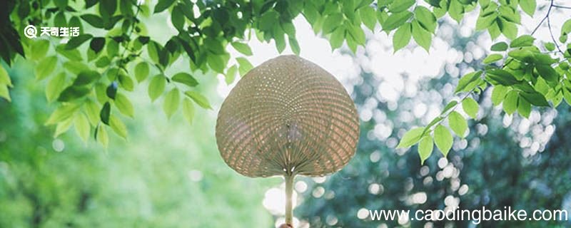 夏天的比喻句 夏天的比喻句有哪些